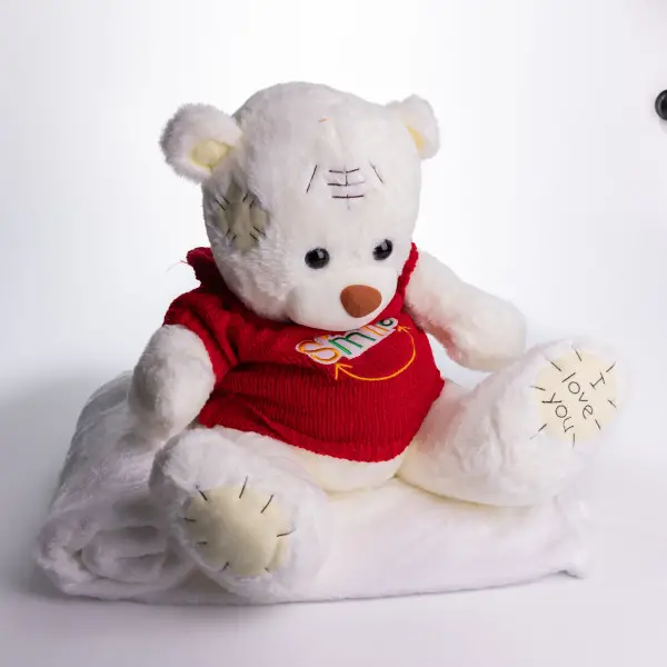 М'яка іграшка з пледом Ведмедик Тедді в червоному светрі білий 509-35WR