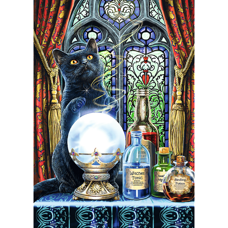 Пазл Чарівна колекція: Учень відьми (1000)