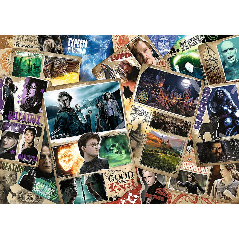 Пазл Гаррі Поттер - Герої (2000)