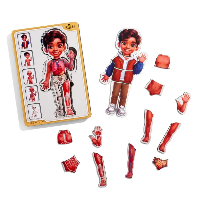 Дерев'яний пазл-вкладиш "Анатомія людини - хлопчик-2" (ПСД261) PSD261 будова тіла