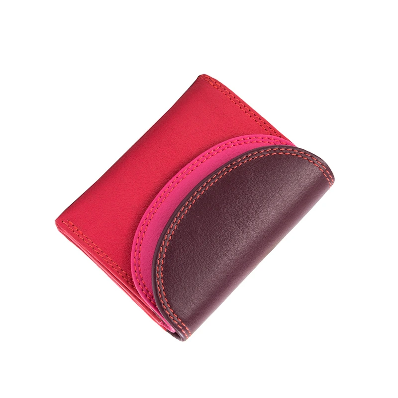 Гаманець жіночий Visconti RB126 PLUM MULTI